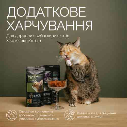 Хрумкі ласощі Savory Cats Snacks Crunchy Balls для дорослих вибагливих котів, кульки з котячою м’ятою, 60 г Київ