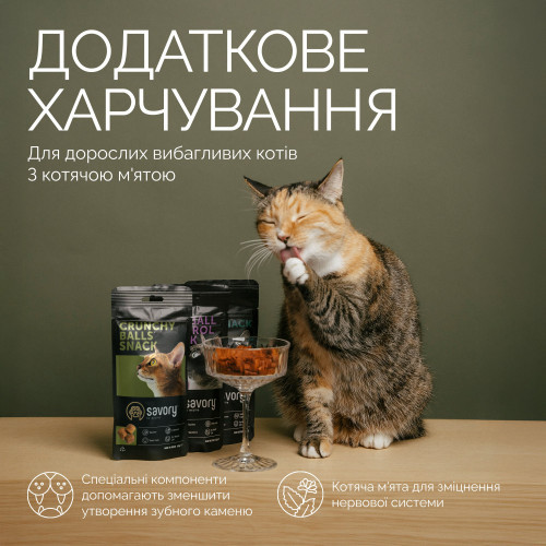 Хрумкі ласощі Savory Cats Snacks Crunchy Balls для дорослих вибагливих котів, кульки з котячою м’ятою, 60 г Київ - фото 3