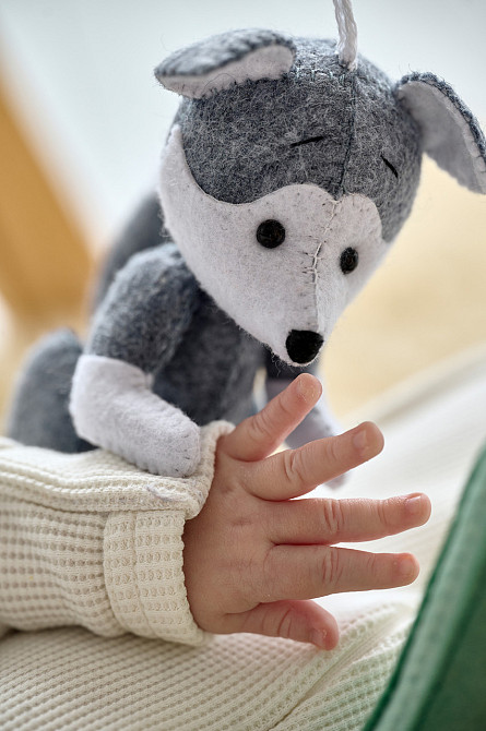 Детский тренажер WoollyFox 