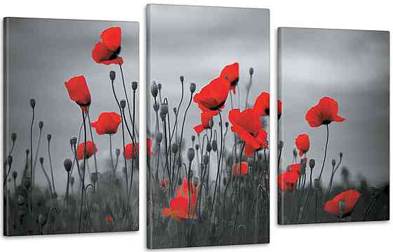 Модульна картина Маки Art-215_3 Київ