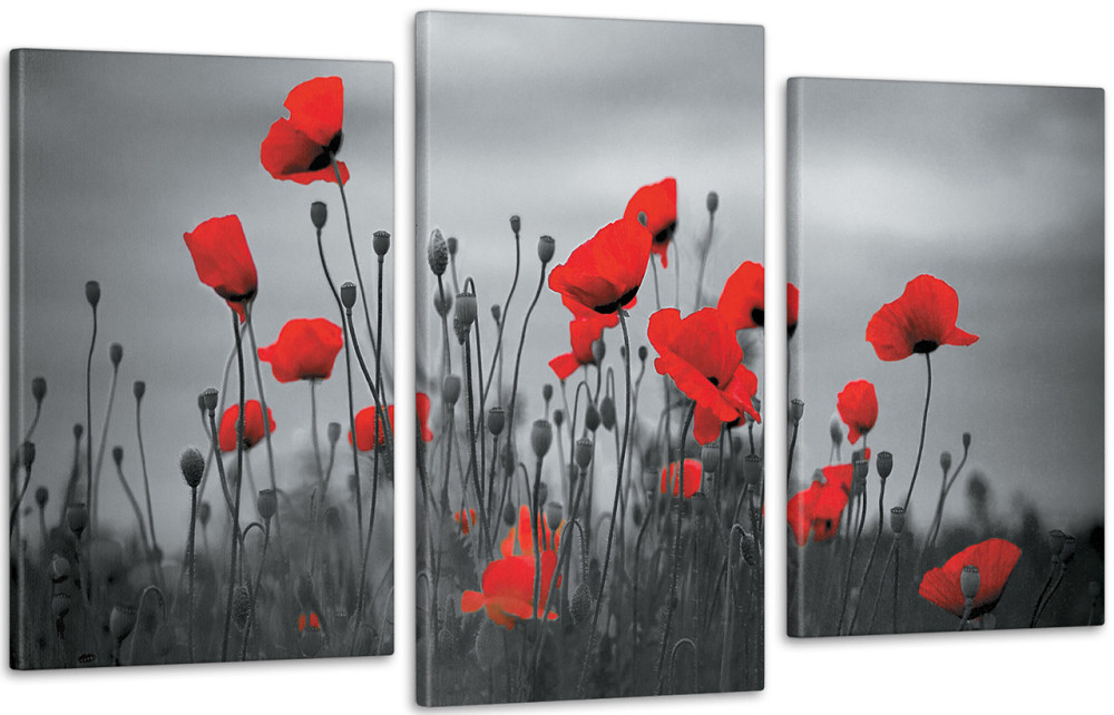 Модульна картина Маки Art-215_3 Київ - фото 1