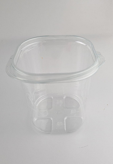 Харчові паковання поліпропіленова на В-122 прозорий полімерний (50 шт.) Харків - фото 1