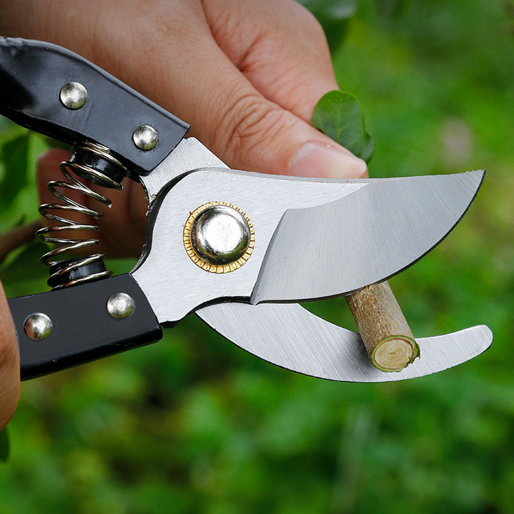 Набор садовых инструментов 5в1 (ножницы, секаторы, пилы) / Садовый инвентарь / Садовый набор инструметнта Киев - изображение 2