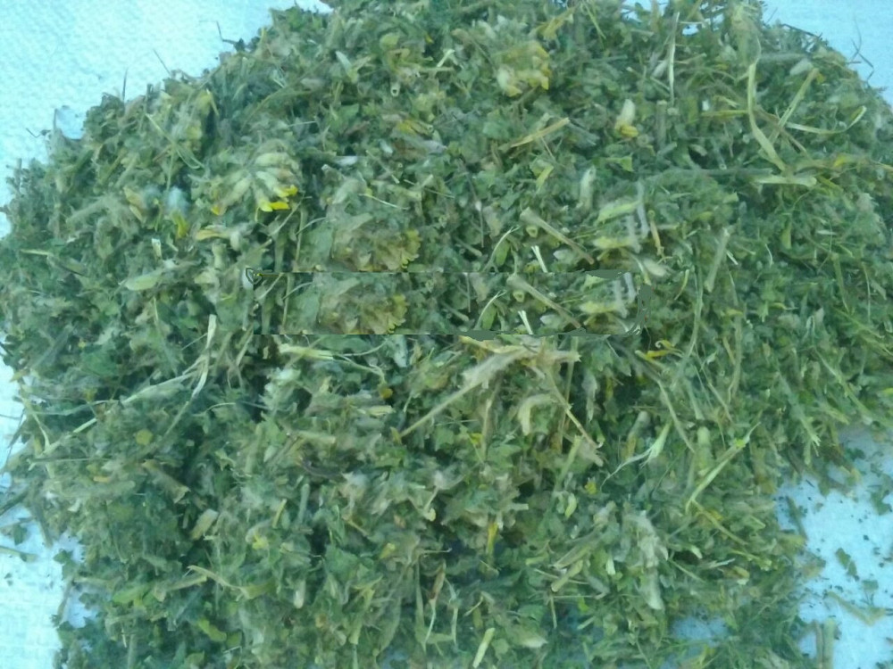 100г., Астрагал шерстистоцветковый (трава) MasterSEM Киев - изображение 1