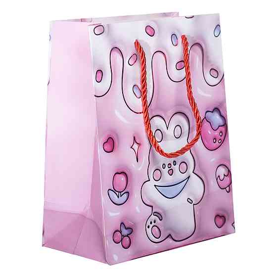 Yiwu Набір подарункових пакетів з паперу 12 (шт.) картонні гарні пакети для подарунків 18×10×22 Коломия