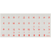 Наклейка на клавіатуру Brain orange (STBRTRORANGE) Киев - изображение 1