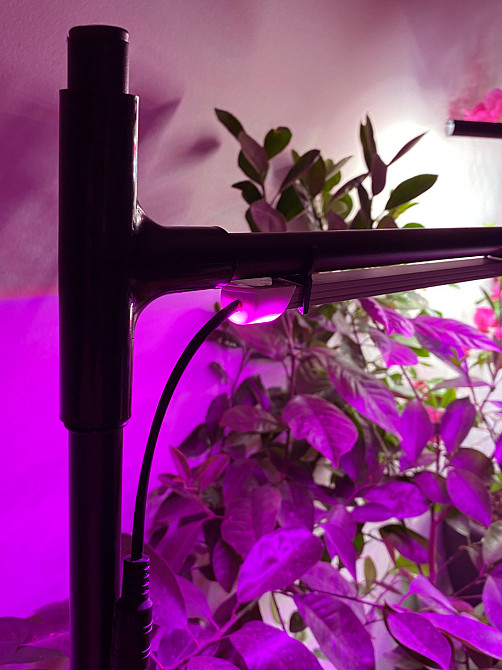 Фітолампа для рослин, квітів, орхідей, розсади, мікрозелені - фітосвітильник повного спектру Metafle Бориспіль - фото 5