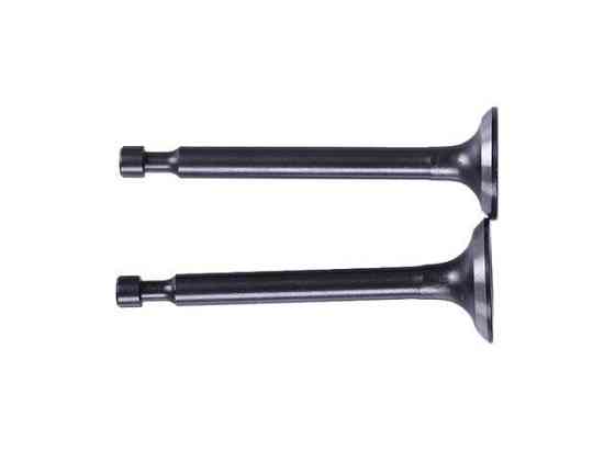 Клапаны, пара - P65F (ZS) Мукачево