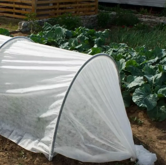 Агроволокно 23 г/м2 10.5 х 50м. "Shadow" 4% білий спанбонд Дніпро