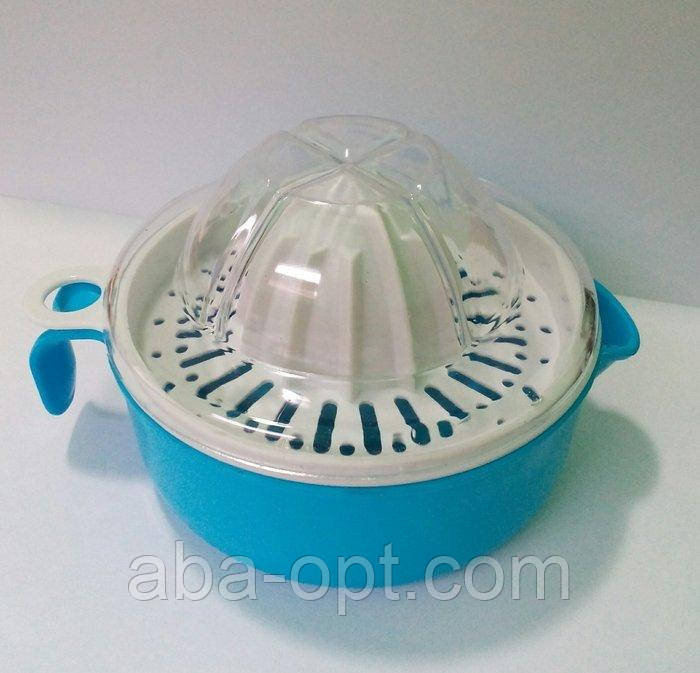 Свіжий цитрус пластиковий Ø 12 см (шт) Одеса - фото 1