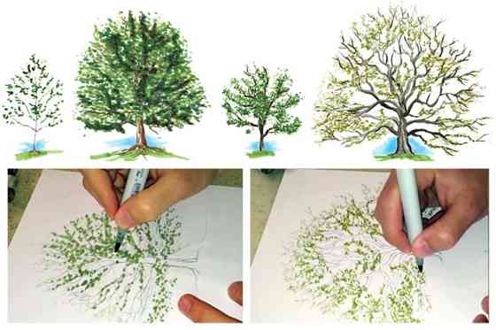 Набір двосторонніх скетч-маркерів BV800-60, 60 кольорів в текстильній сумці Киев