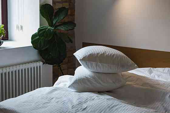 Ecotton Комплект наволочок Ecotton 50х70 см зі страйп-сатину 2 шт. білий в полоску 1х1 см готел Киев