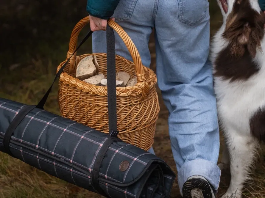 Килимок для подорожей для собак Harley and Cho Travel Roll-up Scotch: вологостійка підстилка для тварин (Оксфорд) L Одеса - фото 10