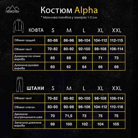 Темно-сірий спортивний костюм для чоловіків. Комплект штани і кофта сірий Pobedov Alpha Київ