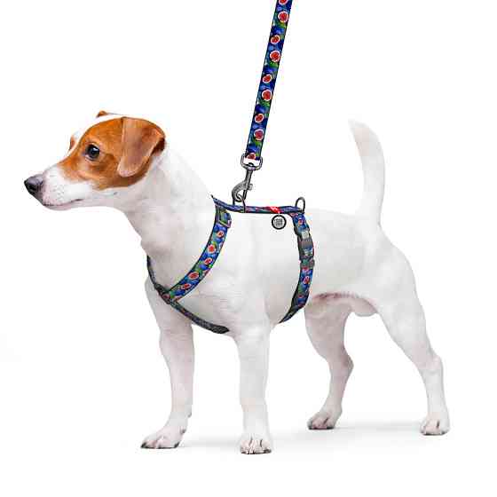 Шлея для собак анатомическая H-образная WAUDOG Nylon с QR паспортом, рисунок 