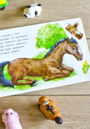 Картонки-развивайки 410023 Первые шаги. На ферме Винница