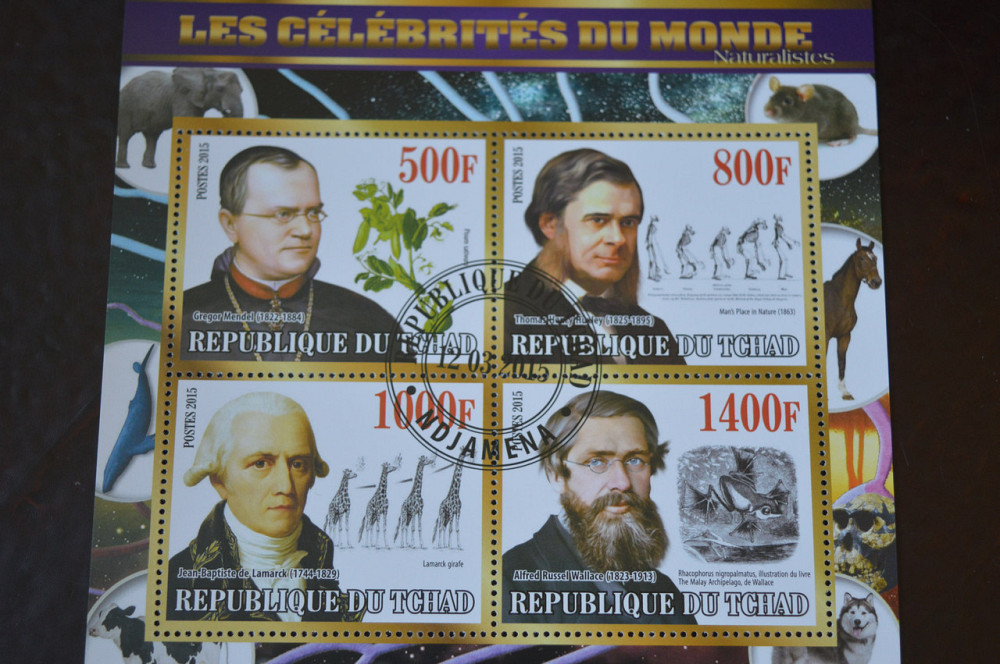 Чад. История. Личности. Блок. 2015 год (Б-4) Полтава - изображение 1