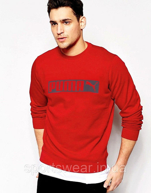 Мужской зимний батальный свитшот PUMA  ESSENTIALS+ FLEECE MEN'S HOODIE Киев - изображение 1