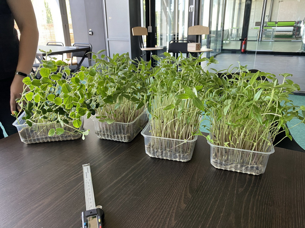 Пророщувач побутовий для насіння, мікрозелені та розсади GreenCap L Metaplant з фітосвітлом та зволо Бориспіль - фото 10