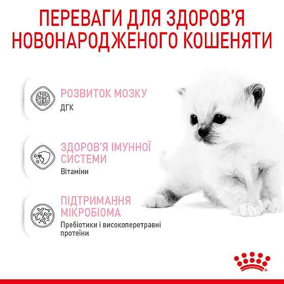 Молоко для новонароджених кошенят ROYAL CANIN BABYCAT MILK 0.3 кг Київ