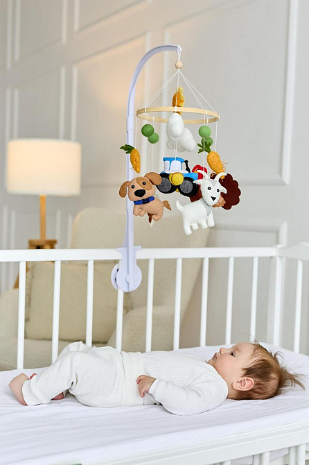 Дитячий мобіль на ліжечко для немовлят WoollyFox "Собака, коза, машинка, індик" Київ - фото 1