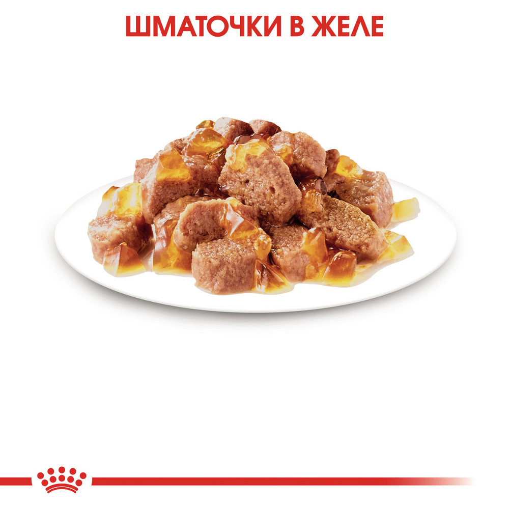 Вологий корм для дорослих стерилізованих котів ROYAL CANIN STERILISED IN JELLY 0.085 кг Київ - фото 4