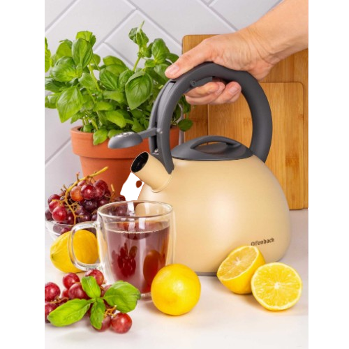 Чайник 2,7 л 100322 Ofenbach Житомир