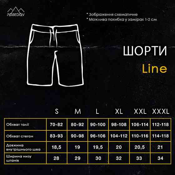 Легкие однотонные стальные мужские шорты Pobedov Line Киев