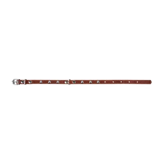 Ошейник CoLLaR одинарный с украшениями (ширина 14мм, длина 27-35см) коричневый Киев