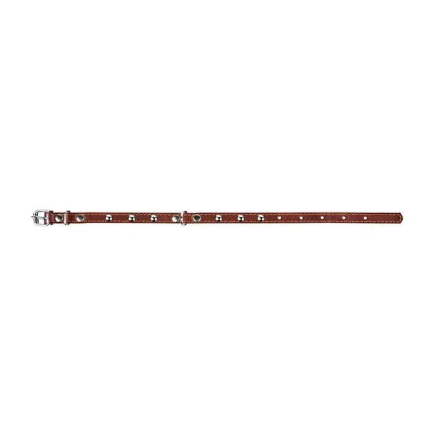 Ошейник CoLLaR одинарный с украшениями (ширина 14мм, длина 27-35см) коричневый Киев - изображение 3
