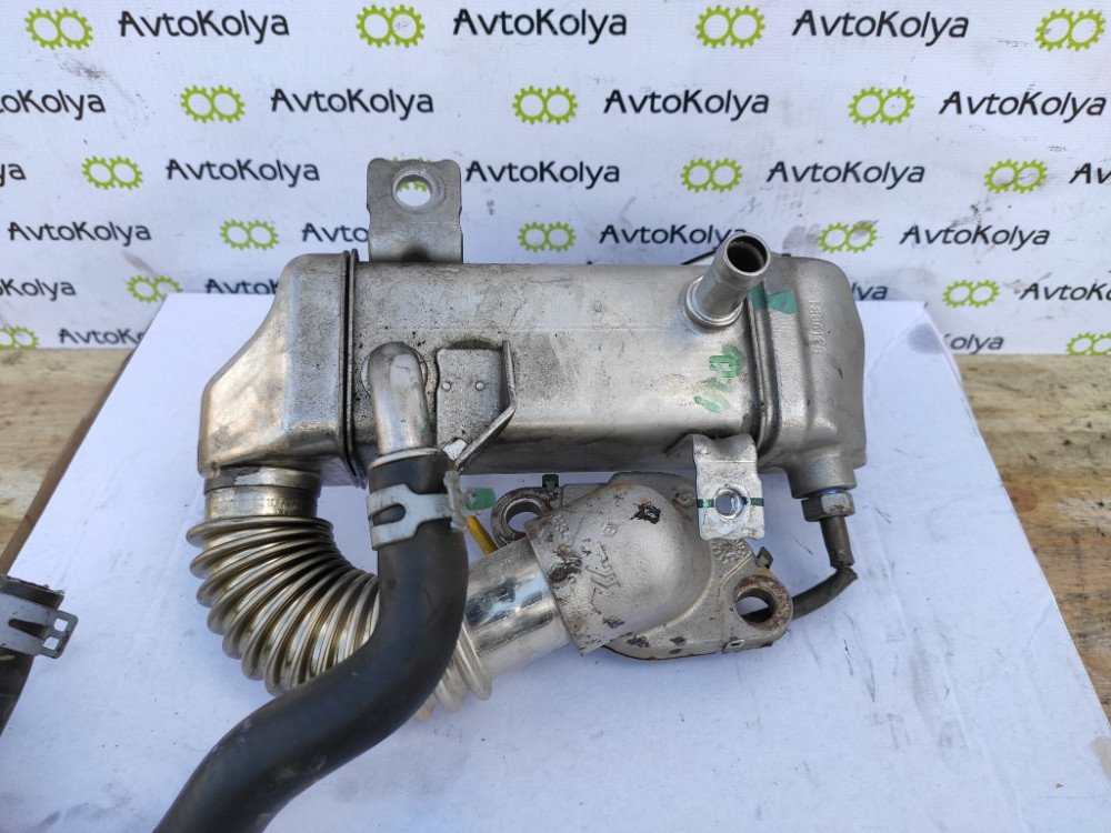 Радіатор EGR (охолоджувач) Renault Megane III 1.6 dci 2008-2015 (147350264R) Ковель - изображение 1