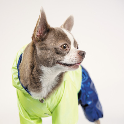 Дощовик для тварин Pet Fashion "PULSE" XS (синій із зеленим) (4823082422821) Вінниця - фото 3