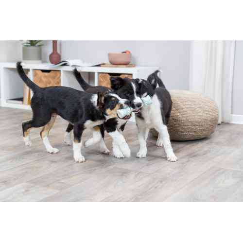 Игрушка Trixie Junior Канат со звуком для щенков, 15 см (латекс) Винница