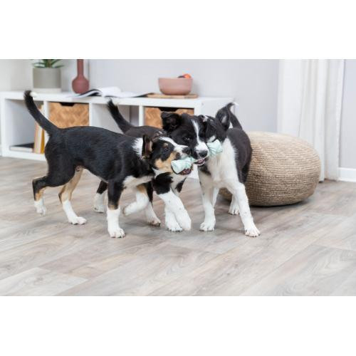 Игрушка Trixie Junior Канат со звуком для щенков, 15 см (латекс) Винница - изображение 4