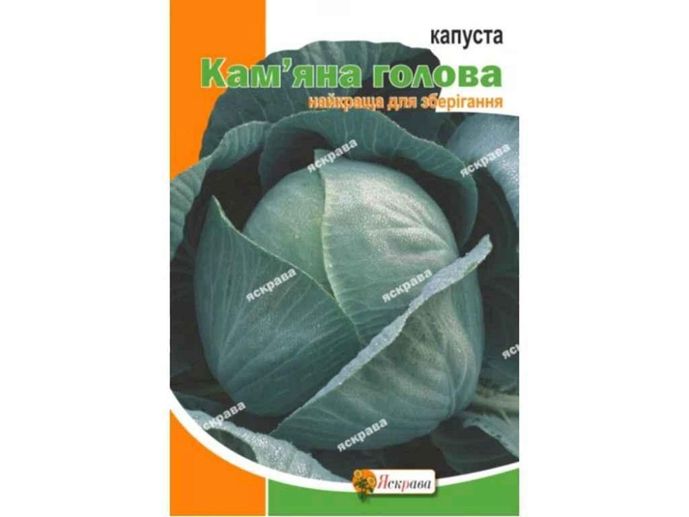 Капуста білокачанна камяна голова максі (10 пачок) 5г ТМ ЯСКРАВА Київ - фото 1
