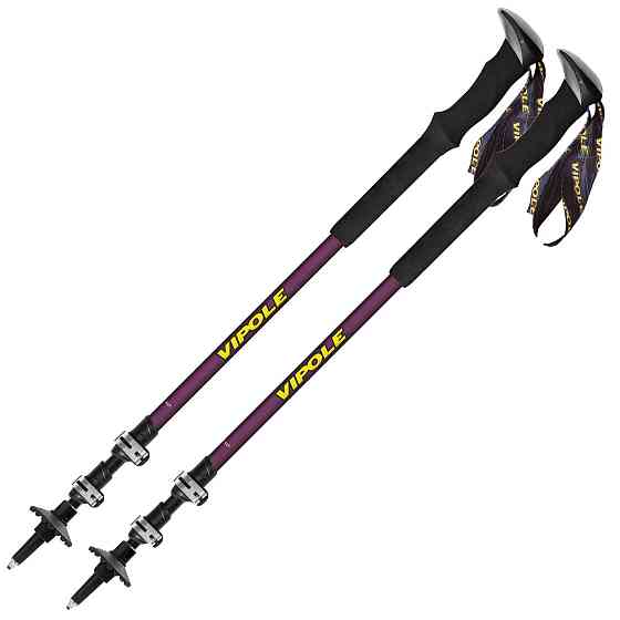 Палки трекинговые Vipole Base Camp Violet DLX (S25 08) Вінниця