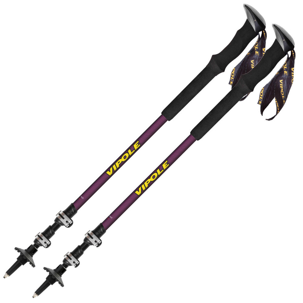Палки трекинговые Vipole Base Camp Violet DLX (S25 08) Вінниця - фото 1