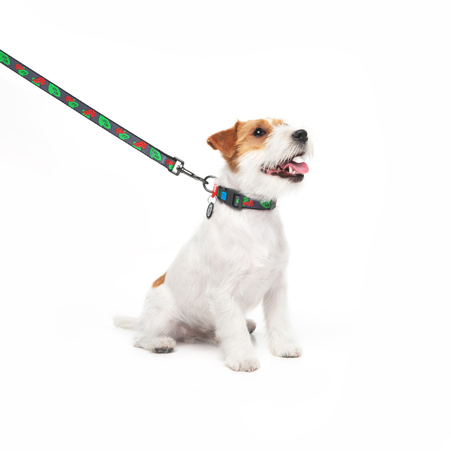 Нашийник для собак нейлоновий WAUDOG Nylon з QR-паспортом, малюнок "Каліна", пластиковий фастекс, S, Ш 15 мм, Вінниця - фото 5