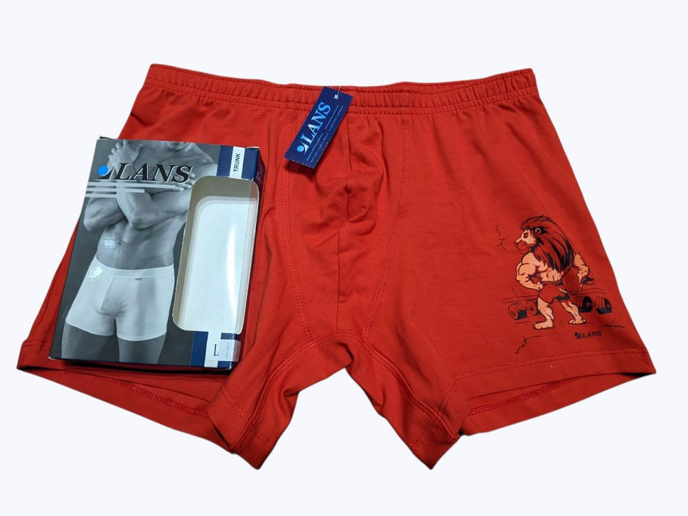 Мужские трусы транки Lans 