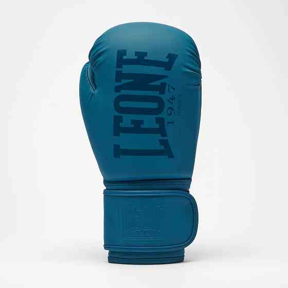 Боксерські рукавиці Leone GN058 TONE X Teal 14 унцій Каменское