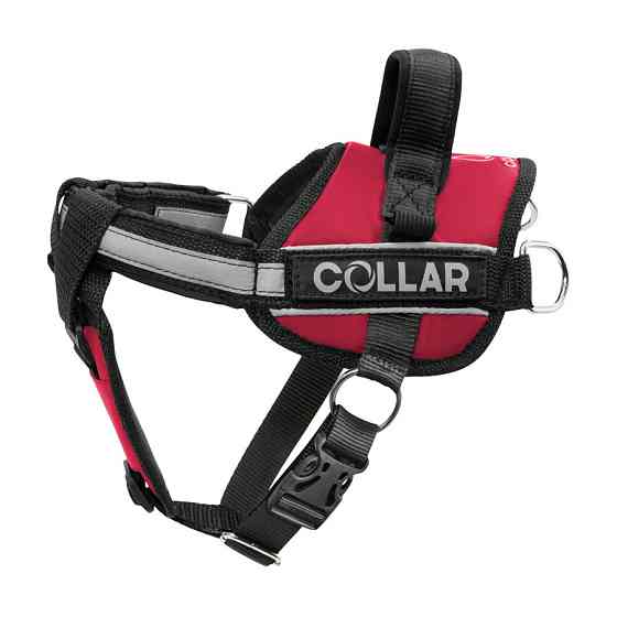Шлея "Dog Extreme" "POLICE" №1 (В:35-45см) червоний Київ