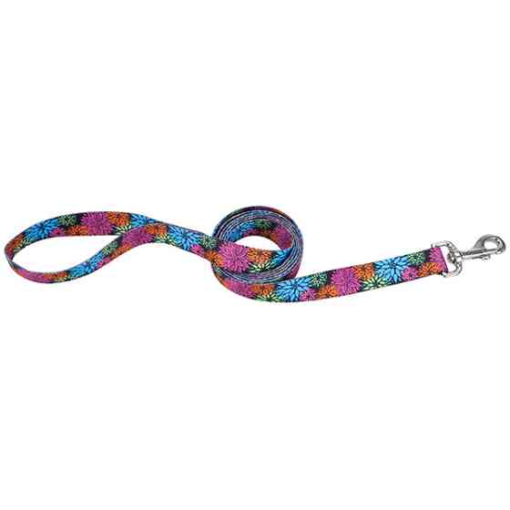 Coastal Pet Attire Styles КОСТАЛ СТАЙЛС поводок для собак, 2смХ1.2м Киев