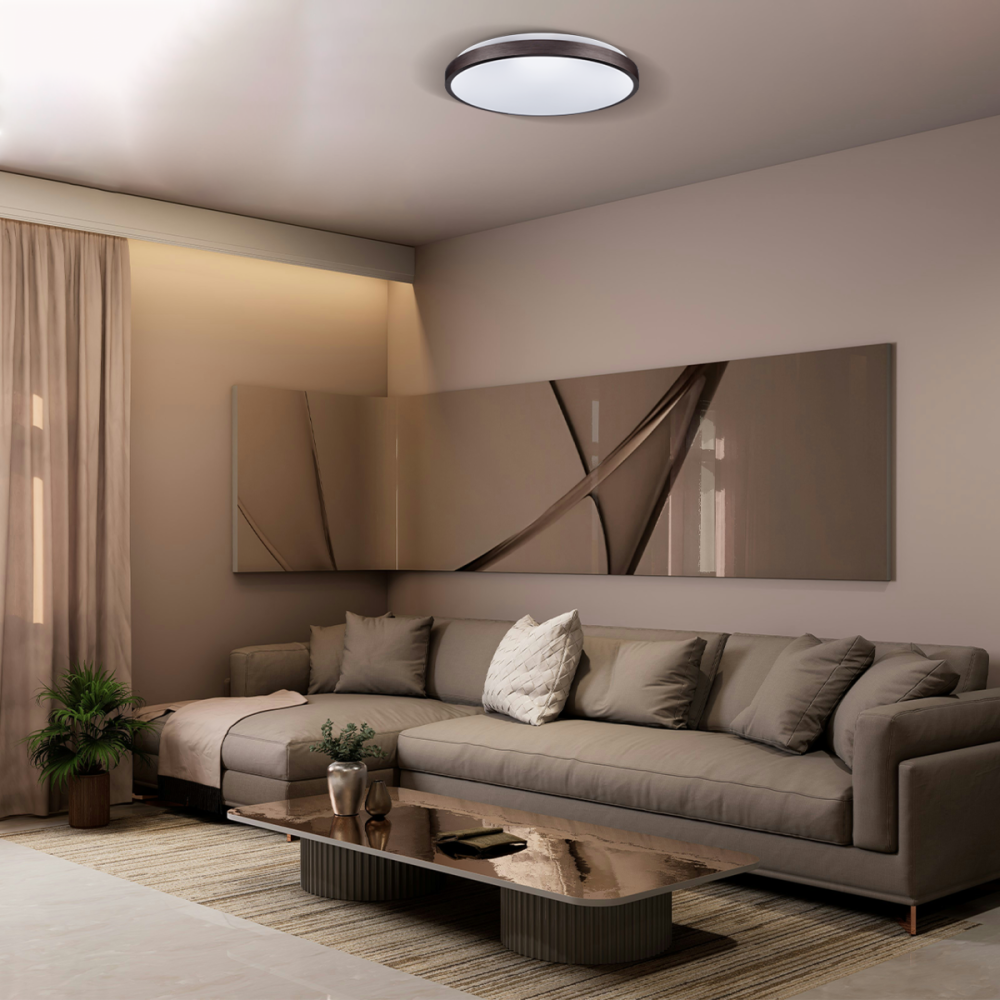 RING матовий 80W 480*60мм 3000К-6500К з ДК бронзовий Дніпро - фото 8