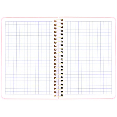 Блокнот Axent на спирали B6 80 листов, клетка, пластиковая обложка, оранжевый (8463-3-A) Винница - изображение 3