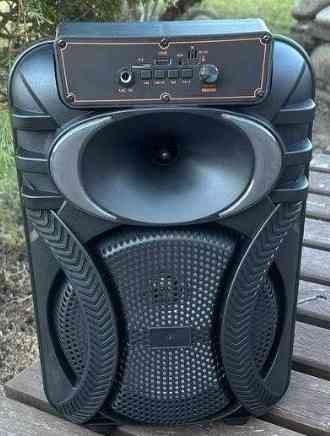 Портативная колонка с 2️⃣ микрофонами и светомузыкой на аккумуляоре.  ‼️ Киев