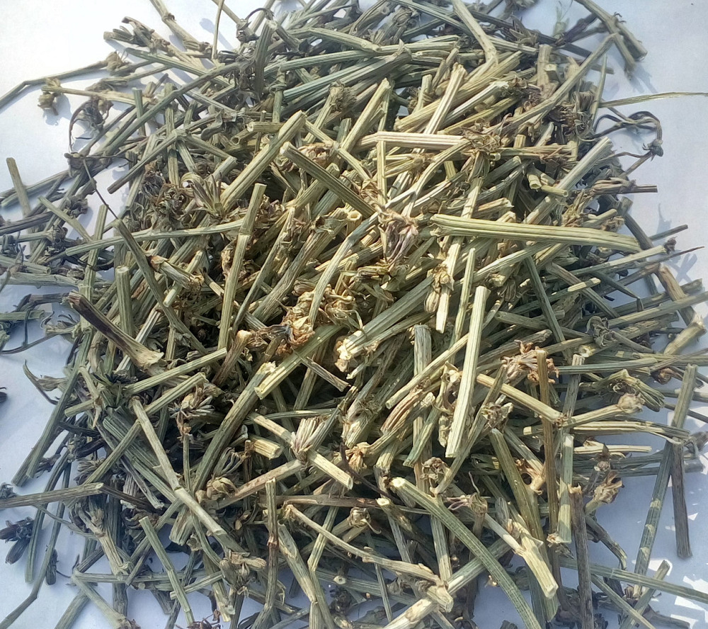 Цикорій (трава), 100г. Київ - фото 1