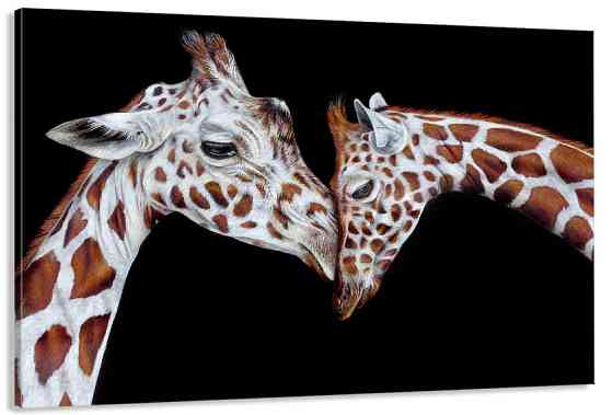 Картина полотно у вітальню / спальню    Закохані Жирафки    MLP_405 ( 60х30см ) Київ
