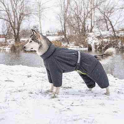 Комбинезон для животных Pet Fashion "COLD" XS (серый) (4823082426249) Винница