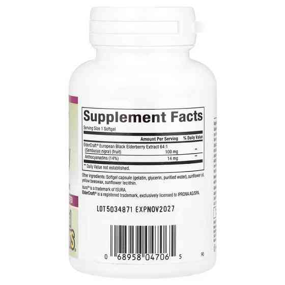 Екстракт чорної бузини Natural Factors Black Elderberry, 100 mg, 60 Fast-Acting Softgels Луцьк