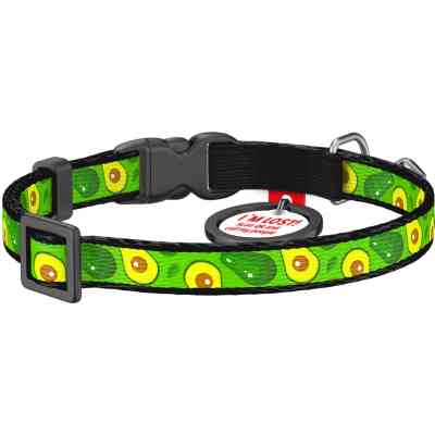 Нашийник для тварин WAUDOG Авокадо з QR паспортом XS 20-30 см (5280) Вінниця